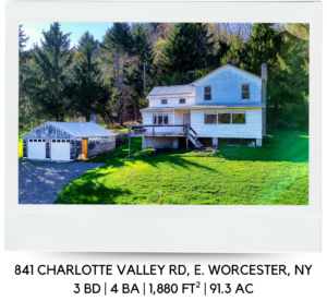 841 CHARLOTTE VALLEY ROAD, EAST WORCESTER, NY 12064