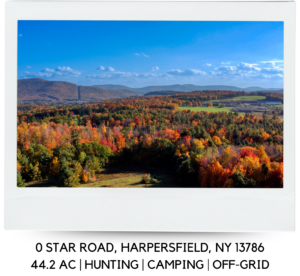 0 STAR ROAD, HARPERSFIELD, NY 13786
