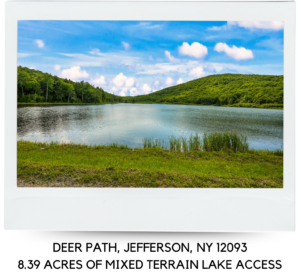L34 DEER PATH JEFFERSON, NY 12093
