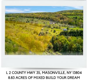L 2 COUNTY HWY 35, MASONVILLE, NY 13804