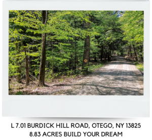 L 7.01 BURDICK HILL ROAD, OTEGO, NY 13825