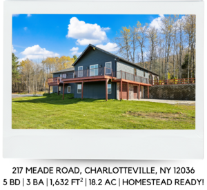 217 MEADE ROAD CHARLOTTEVILLE, NY 12036
