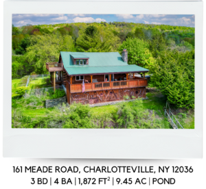 161 MEADE ROAD CHARLOTTEVILLE, NY 12036